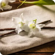 Vanilla